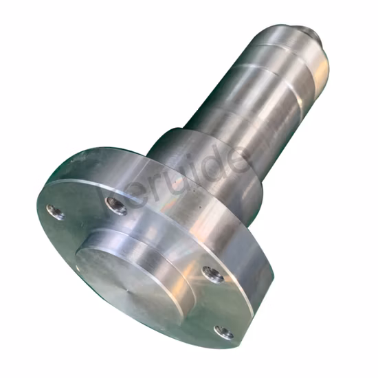 Custom Precision Aluminum Electroplating Die Casting Electronic Accessories